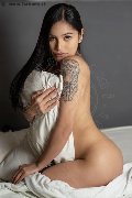 Foto Akita Trans Asiatica Incontri Transescort Padova - 1