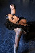 Foto Al�cia Lins Incontri Trans Milano - 7