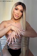 Foto Angel Bunny Incontri Transescort Milano - 1