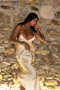 Foto Arianna Ferrari Pornostar Incontri Trans Roma - 8