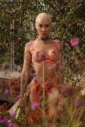Foto Ath�na Incontri Transescort Roma - 2