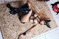 Foto Bruna Mor Incontri Transescort Roma - 28