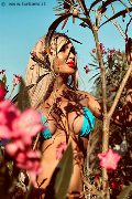 Foto Chrystal Medeiros Pornostar Incontri Transescort Roma - 35