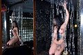 Foto Diana Ferraz Incontri Transescort Firenze - 93