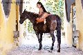 Foto Gabriella Xxl Brasile Incontri Transescort Milano - 70