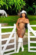 Foto Gabriella Xxl Brasile Incontri Transescort Milano - 15