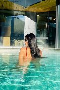 Foto Graziella Farias Incontri Transescort Ospitaletto - 88