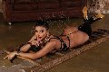 Foto Hillana Maya Incontri Transescort Parma - 7
