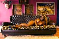 Foto Jessica Aryani Incontri Transescort Brescia - 18