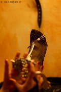 Foto Lady De Sade Italy Incontri Mistress Marina Di Carrara - 6