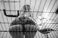 Foto Lady Giuliette Incontri Mistress Verona - 16