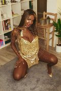 Foto Maya Venere Incontri Transescort Milano - 239