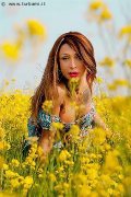 Foto Monica Kicelly Incontri Transescort Bologna - 202