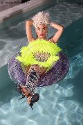 Foto Nina La Divina Incontri Trans Ibiza - 85