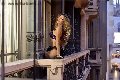 Foto Rayca Incontri Transescort San Gallo - 236