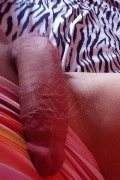 Isernia Trans Escort Alessandra Dior 371 52 12 112 foto selfie 88