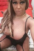 Pavia Trans Escort Channel 338 40 97 317 foto selfie 13