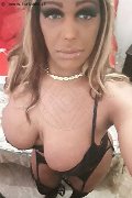Pavia Trans Escort Channel 338 40 97 317 foto selfie 12