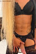 Roma Trav Dafinny Doll 392 66 47 645 foto selfie 78