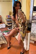 Alba Adriatica Trans Escort Emme 333 16 48 972 foto selfie 146