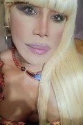 Milano Trans Escort Nicole Vip Venturiny 353 35 38 868 foto selfie 440