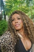 Mestre Trans Paolina Mulatta 333 29 10 933 foto selfie 17