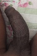 Milano Trans Paula Xxl 376 29 61 336 foto selfie 32
