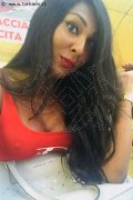 Gallarate Trans Escort Thalita Top Xxxl 388 48 85 062 foto selfie 5