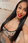 Gallarate Trans Escort Thayys Castro 329 72 89 046 foto selfie 56