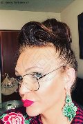 Treviso Trans Valeria 338 87 18 849 foto selfie 606
