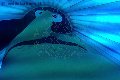 Treviso Trans Escort Valeria 338 87 18 849 foto selfie 787
