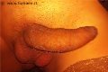 Napoli Trans Vittoria Mazza 334 77 63 969 foto selfie 17