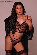 Foto Sophia Brasiliana Xxl Incontri Travescort Firenze - 3