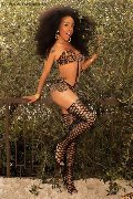 Foto Tamisca Safada Incontri Transescort Verona - 88