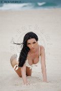 Foto Vanessa Hilton Incontri Transescort Modena - 104