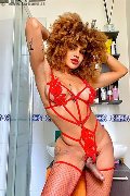 Foto Hot Stella Incontri Trans Milano - 5