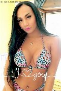 Foto Luana Fernandes Incontri Transescort Roma - 12