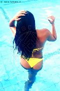 Foto Naomy Xl Incontri Transescort Genova - 148