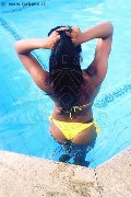 Foto Naomy Xl Incontri Transescort Genova - 147