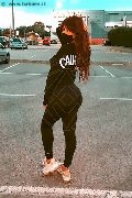 Foto Safina Incontri Transescort Torino - 63