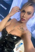 Napoli Trans Dafne Pornostar 380 14 22 205 foto selfie 19