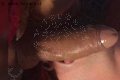 Bologna Trans Naomy Xl 329 01 67 932 foto selfie 102