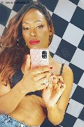 Genova Trans Escort Naomy Xl 329 01 67 932 foto selfie 4