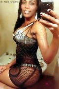 Genova Trans Escort Naomy Xl 329 01 67 932 foto selfie 72