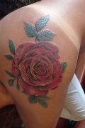 Torre Del Lago Puccini Trans Escort Pamela Sexy 389 11 65 704 foto selfie 15