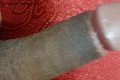 Prato Trans Tain� Oliveira 328 53 82 487 foto selfie 171