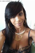 Sanremo Trans Vivy Noronha 333 18 67 209 foto selfie 15
